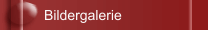 Bildergalerie